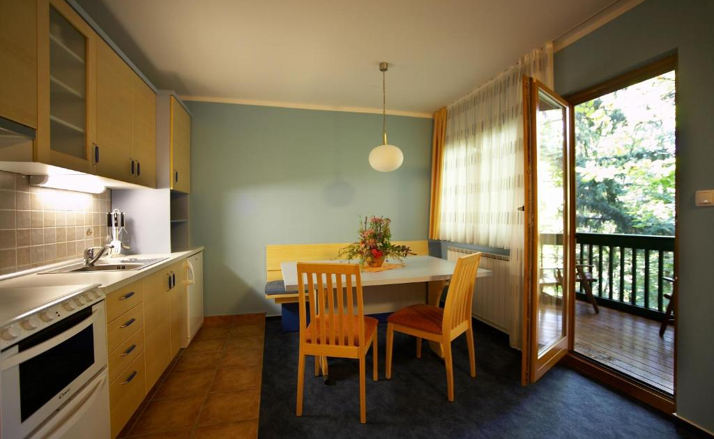 Vile Terme Zreče apartman kuhinja